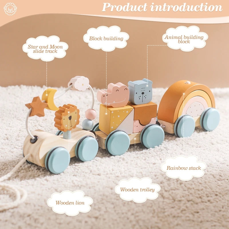 Wooden Montessori Animal Car Toy
