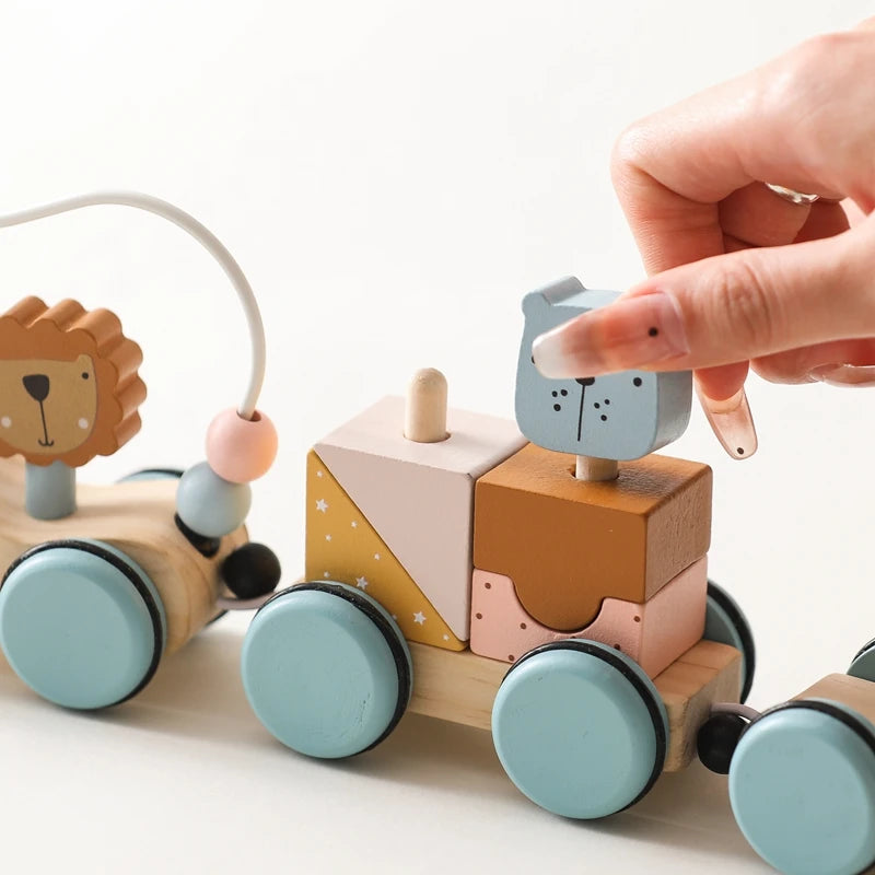 Wooden Montessori Animal Car Toy