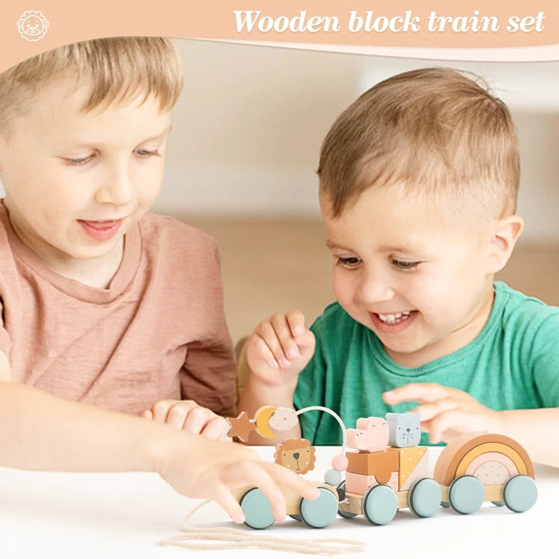 Wooden Montessori Animal Car Toy