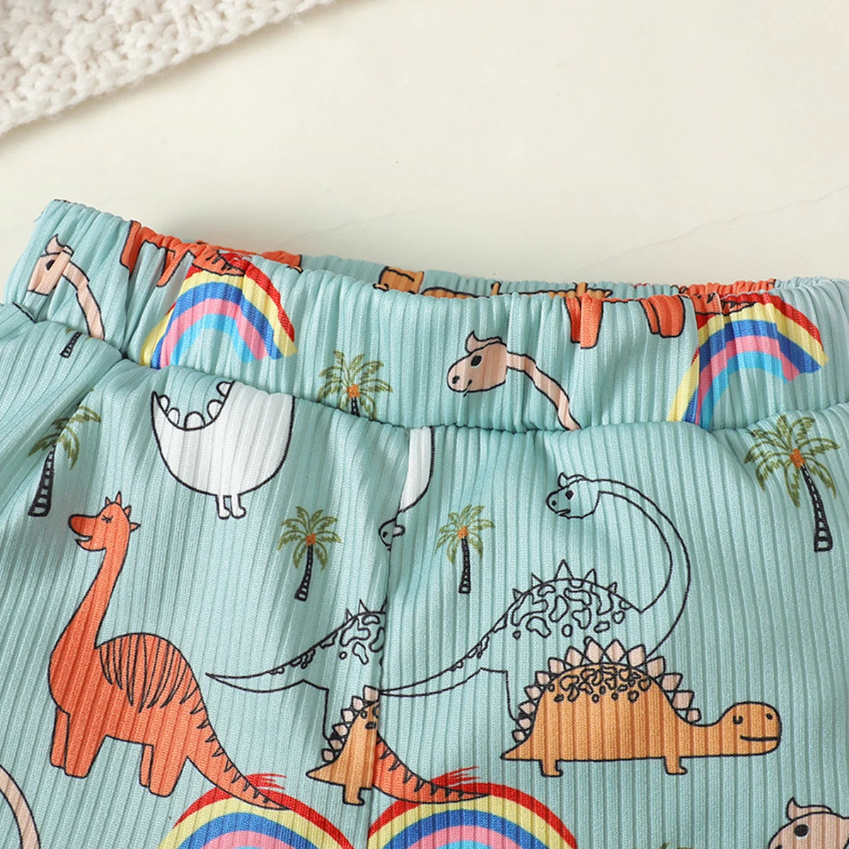 Boy's Dinosaur Print T-shirt & Shorts Set