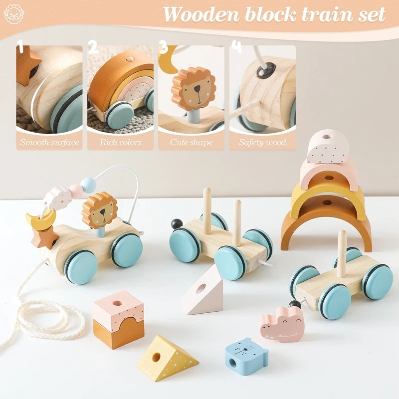 Wooden Montessori Animal Car Toy