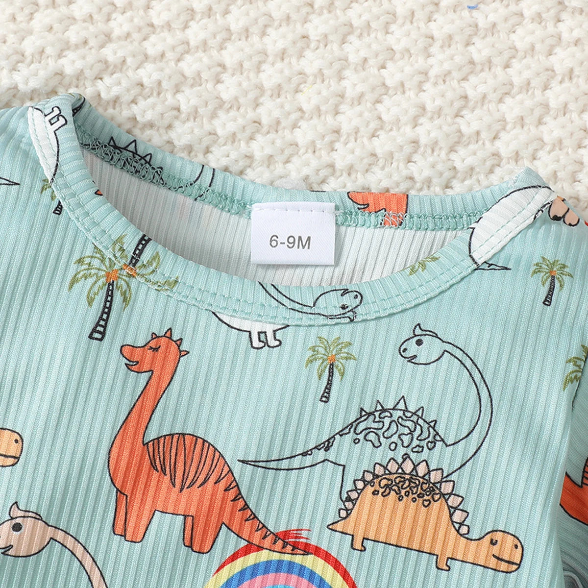 Boy's Dinosaur Print T-shirt & Shorts Set