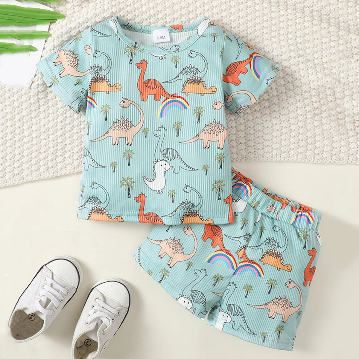 Boy's Dinosaur Print T-shirt & Shorts Set