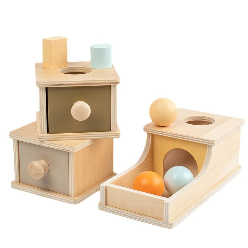 Wooden Educational Coin Box Toy